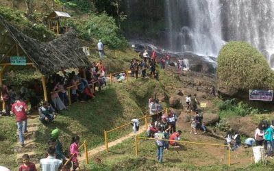 Desa Online, Potensi Desa Terangkat!