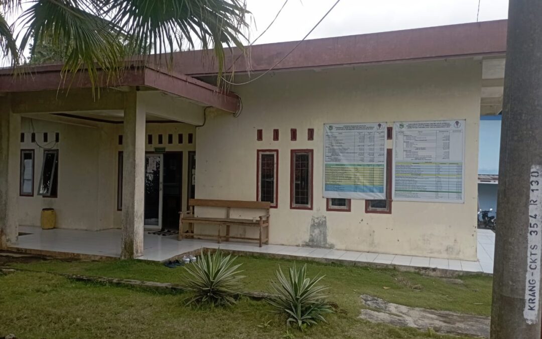 PEMBANGUNAN JALAN DESA